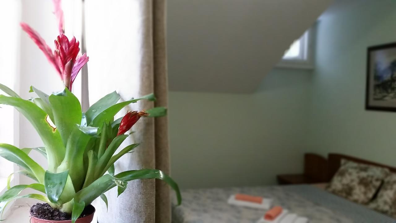 Boeritza Hotel Complex Vladaya Екстер'єр фото